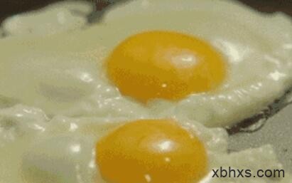鸡蛋，世界上最百搭的食物