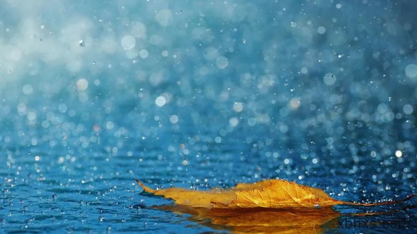 随笔：为什么我喜欢下雨天