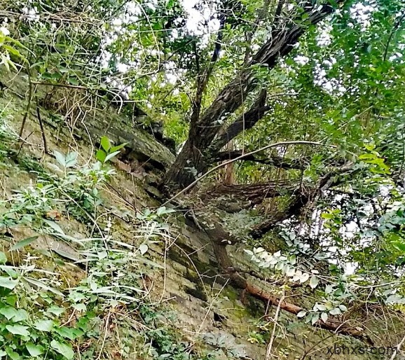 汉中明代瑞王府，风雨飘摇的历史记忆！