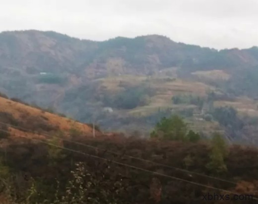 桑溪童家山，酒缸里的大院子