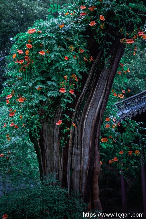 坐在按摩棒上吃饭，花核水溢搅弄