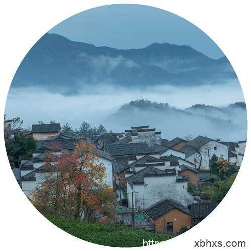 把按摩棒含着别掉出来了 狗的蝴蝶结可以涨多大