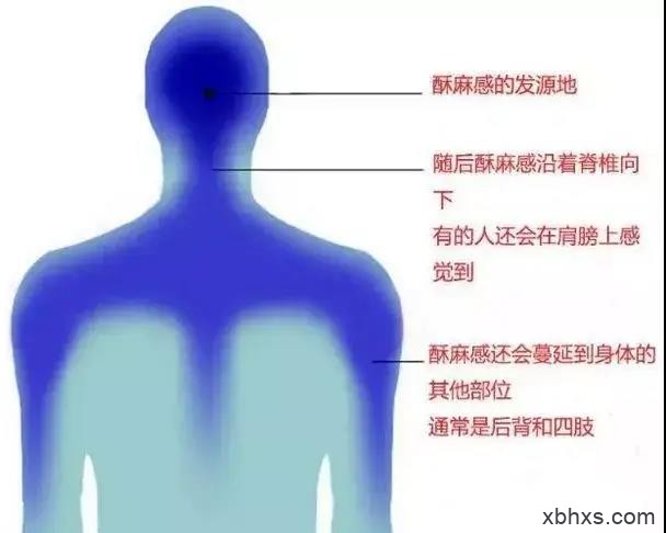 还记得那些曾经风靡各大直播平台的ASMR吗？