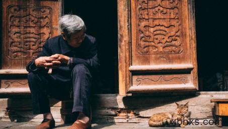 老人与猫