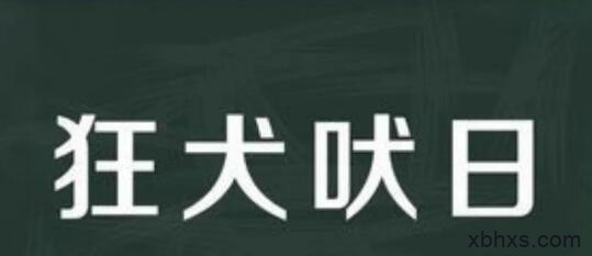 狂吠的狗一直在叫。不分白天黑夜。