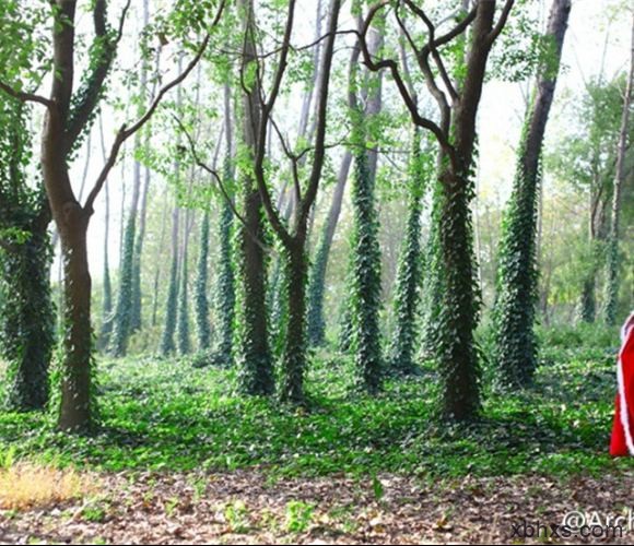 老师这么湿再浪一点—囊袋拍打猛烈