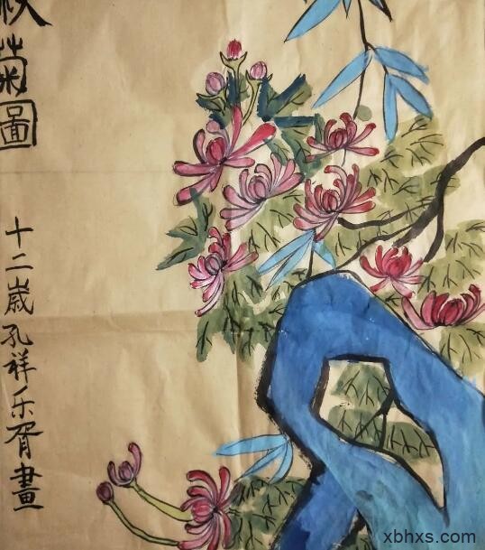 深秋的菊花