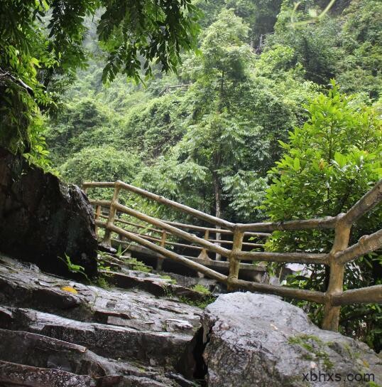 烟雨鼎湖山