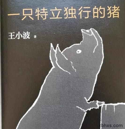 那些与猪有关的童年记忆