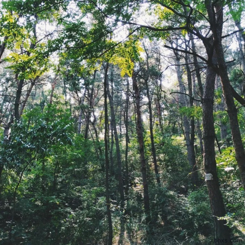 请大把浪费时间。