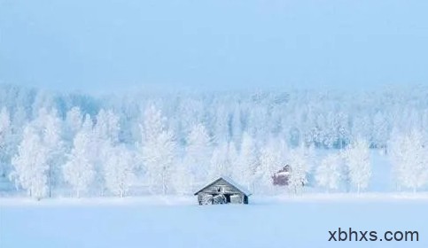 蝴蝶与雪