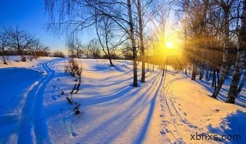 雪地上的阳光