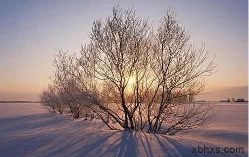 雪地上的阳光