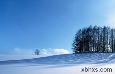 雪落无声