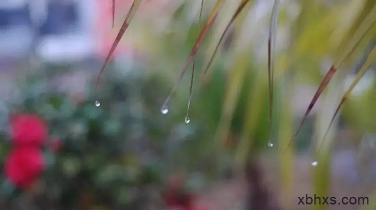 雨水——天街小雨润如酥