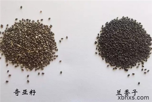 它集营养物质、瘦身功能于一体，还不拿来研发新菜？