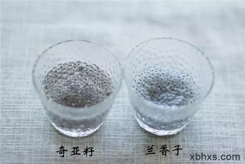 它集营养物质、瘦身功能于一体，还不拿来研发新菜？
