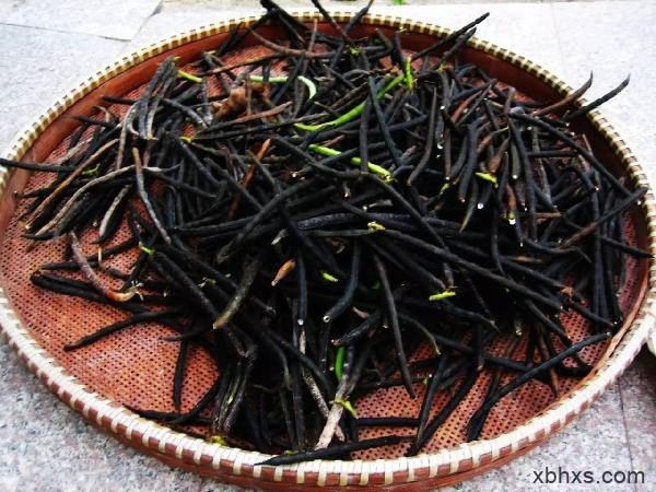【绿豆】传说中消暑解毒的济世良谷，燥热夏日里的“小清新”