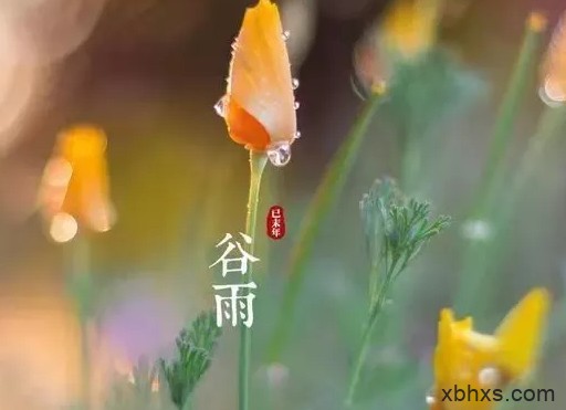 谷有雨，我有你