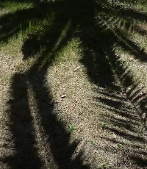 玛珥湖空荡荡