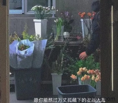 秋后的蚂蚱
