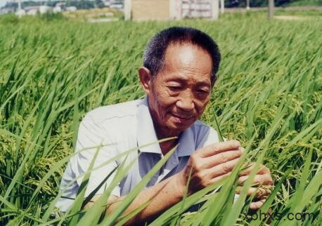 怀念袁隆平