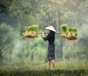 女主是凤凰的仙侠小说 蜜汁炖鱿鱼小说