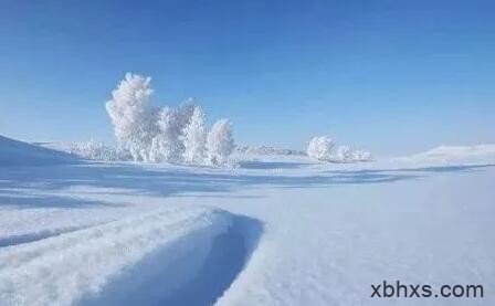 白的雪，其实更像是一个理想的世界。