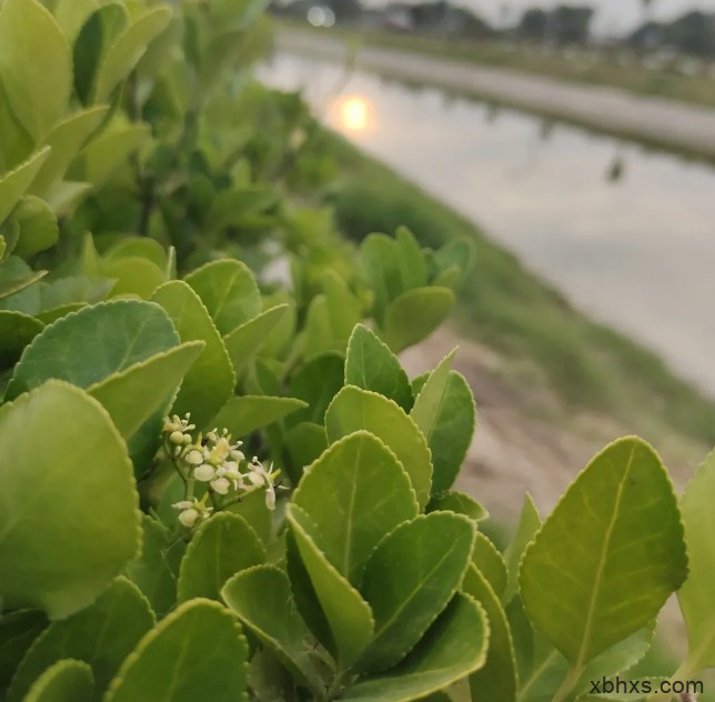 破茧之前……