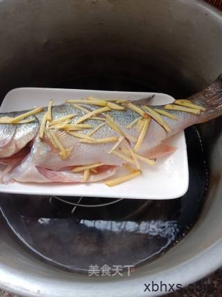 清蒸鲈鱼最正宗的做法 家常清蒸鲈鱼的做法
