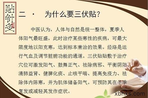 贴三伏贴挂什么科 三伏贴挂什么号