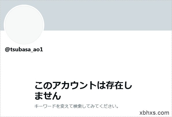 Twitter、IG全删、事务所移除资料、翼あおい消灭！